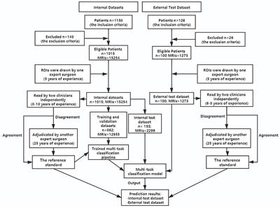 Automatic Grading of Disc Herniation, Central Canal Stenosis and Nerve Roots Compression in Lumbar Magnetic Resonance Image Diagnosis